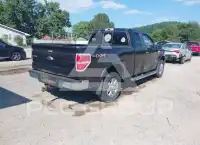 2013 Ford F-150 photo
