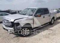 2013 Ford F-150 photo
