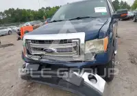 2013 Ford F-150 photo
