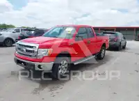 2013 Ford F-150 фото