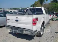 2013 Ford F-150 photo