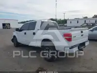 2013 Ford F-150 photo