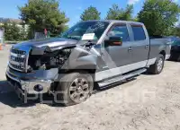 2013 Ford F-150 photo