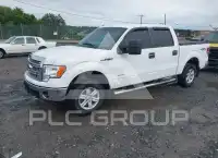 2013 Ford F-150 photo