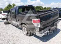 2013 Ford F-150 фото