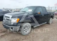 2013 Ford F-150 фото