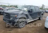 2013 Ford F-150 photo