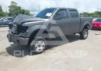 2013 Ford F-150 photo