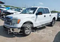 2013 Ford F-150 фото