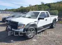 2013 Ford F-150 фото