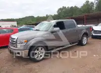 2013 Ford F-150 фото