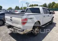 2013 Ford F-150 photo