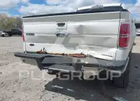 2013 Ford F-150 photo