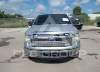 2013 Ford F-150 photo