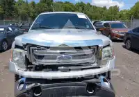 2013 Ford F-150 photo