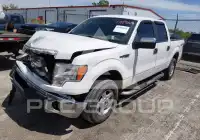 2013 Ford F-150 photo