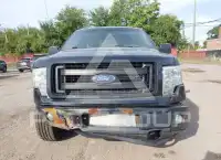 2013 Ford F-150 photo