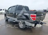 2013 Ford F-150 photo