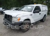 2013 Ford F-150 photo
