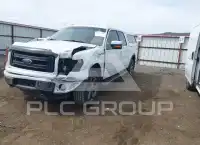 2013 Ford F-150 photo