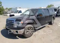 2013 Ford F-150 photo