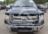 2013 Ford F-150 photo