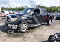 2013 Ford F-150 photo