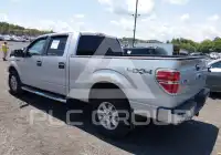 2013 Ford F-150 photo