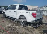 2013 Ford F-150 photo