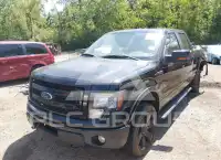 2013 Ford F-150 фото
