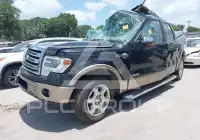 2013 Ford F-150 photo