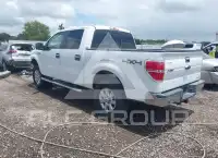 2013 Ford F-150 фото