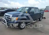 2013 Ford F-150 фото