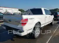 2013 Ford F-150 photo