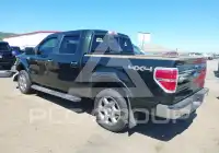2013 Ford F-150 фото