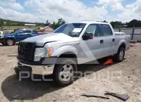 2013 Ford F-150 photo