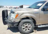 2013 Ford F-150 фото