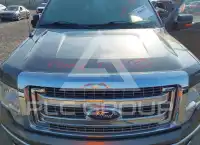 2013 Ford F-150 фото