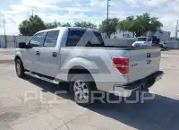 2013 Ford F-150 photo