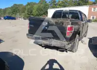 2013 Ford F-150 photo