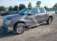 2013 Ford F-150 фото