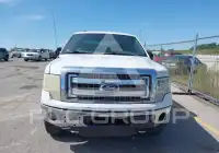 2013 Ford F-150 photo