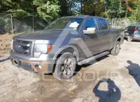 2013 Ford F-150 фото