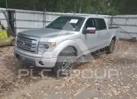 2013 Ford F-150 photo