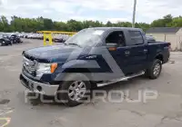 2013 Ford F-150 photo