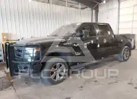 2013 Ford F-150 фото