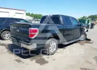 2013 Ford F-150 фото