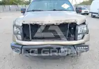 2013 Ford F-150 фото
