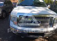2013 Ford F-150 photo