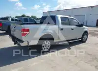 2013 Ford F-150 photo